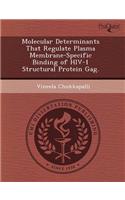 Molecular Determinants That Regulate Plasma Membrane-Specific Binding of HIV-1 Structural Protein Gag