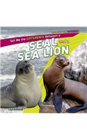 Tell Me the Difference Between a Seal and a Sea Lion: (How Are They Different?)