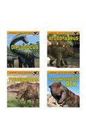 Little Paleontologist