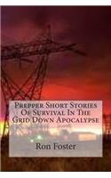 Prepper Short Stories Of Survival In The Grid Down Apocalypse