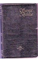 Santa Biblia-Rvr 1960