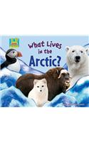 What Lives in the Arctic?