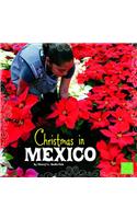 Christmas in Mexico