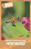 Unbelievable Pictures and Facts About Honey Bees