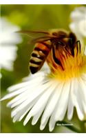 Bee Notebook: A5 Lined Notepad - Journal for Women, Men, Teens and Kids. A Beautiful Gift Idea for Animal Lover