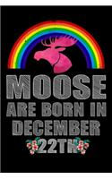 Moose Are Born In December 22th