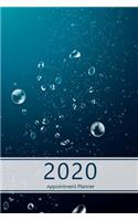 2020 Appointment Planner