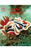 Sea Slug Sketchbook: (Sketchbooks for Drawing)