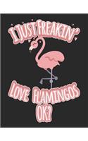 I Just Freakin' Love Flamingos Ok?: Wide Ruled Composition Notebook Journal V2