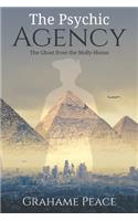 The Psychic Agency