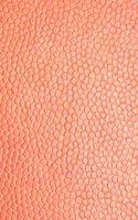 Coral Notebook Leather Style
