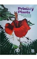 Primary Plants
