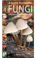 A Guide to Finding Fungi in Berkshire, Buckinghamshire and Oxfordshire