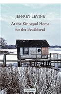 At the Kinnegad Home for the Bewildered