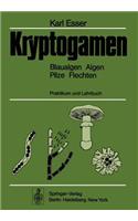 Kryptogamen