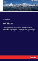 Das Becken