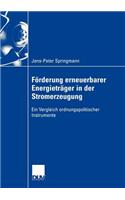 Förderung Erneuerbarer Energieträger in Der Stromerzeugung