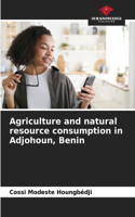 Agriculture and natural resource consumption in Adjohoun, Benin