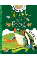 Life Cycle of a Frog: Key stage 1: (Circle of Life)