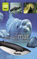 Animales del mar, peces, ballenas y delfines / Sea animals, fish, whales and dolphins