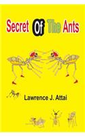 Secret Of The Ants