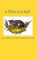 Kitten in a Nest: How a Kitten in a Nest was raised by an Owl