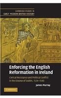 Enforcing the English Reformation in Ireland: Clerical Resistance and Political Conflict in the Diocese of Dublin, 1534–1590(Cambridge Studies in Early Modern British History)