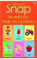 Snap in Welsh