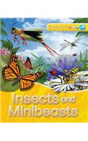 Explorers: Insects and Minibeasts