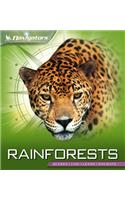 Rainforests