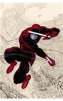 Daredevil By Mark Waid - Vol. 1