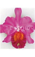 Orchids