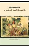 Insects of South Corvalis