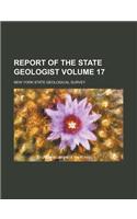 Report of the State Geologist Volume 17: (English)
