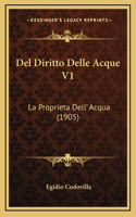 Del Diritto Delle Acque V1
