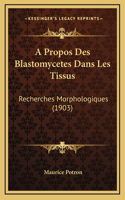 A Propos Des Blastomycetes Dans Les Tissus