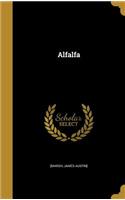 Alfalfa