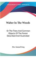 Walter In The Woods