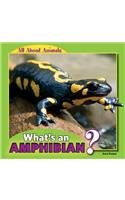 What's an Amphibian?