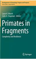 Primates in Fragments