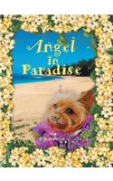 Angel in Paradise
