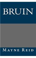 Bruin