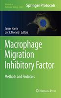 Macrophage Migration Inhibitory Factor