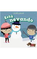 Está Nevando (It's Snowing)