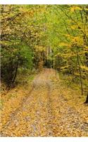 Mind Blowing Autumn Forest Path Jounal: 150 page lined journal