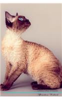 Devon Rex Affirmations Workbook Devon Rex Presents: Positive and Loving Affirmations Workbook. Includes: Mentoring Questions, Guidance, Supporting You.