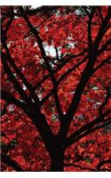 Fall Fire Tree Grid Notebook: 150 Page Grid Notebook Journal Diary