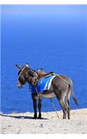 A Little Donkey Looking at the Ocean in Santorini Greece Journal: 150 Page Lined Notebook/Diary