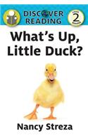 What's Up Little Duck