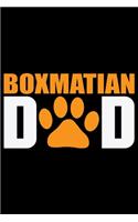 Boxmatian Dad